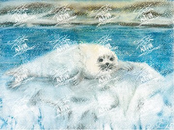 Тюлень (художник Евгения Ручка)