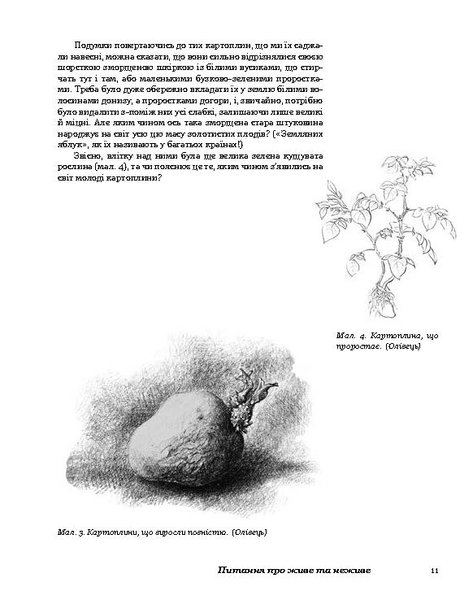 Рослини новими очима (файл PDF)