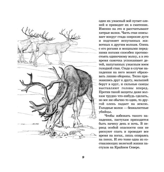 Из жизни животных (файл PDF та epub)