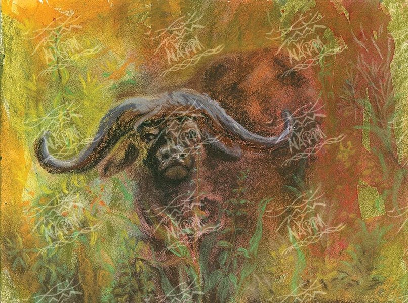 Африканський буйвол (художник Євгенія Ручка)