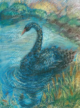Чорый лебедь (художник Евгения Ручка)