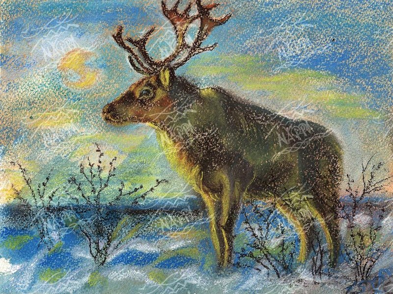 Северный олень (художник Евгения Ручка)