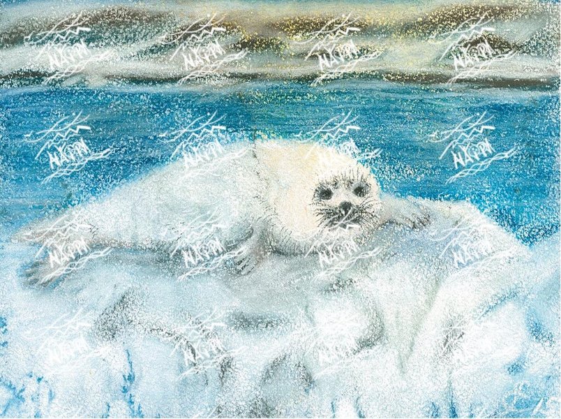 Тюлень (художник Євгенія Ручка)